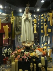 SIEF International Congress Lisbon 2011